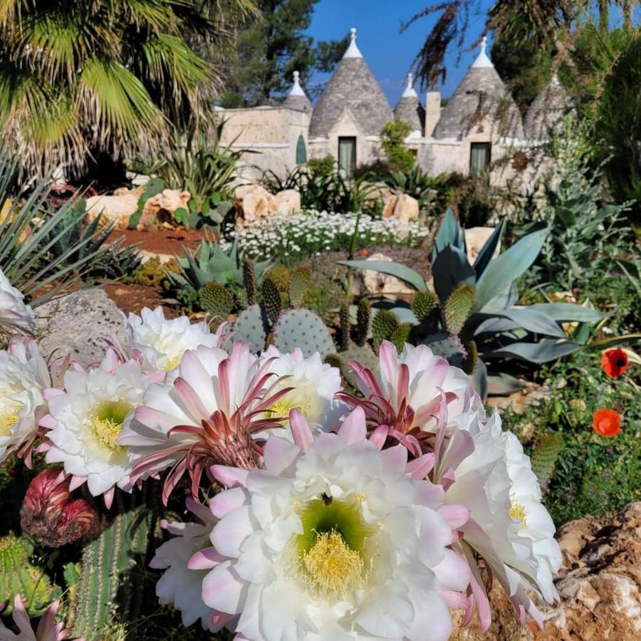 Trullo Bosco Libero Ostuni Exterior foto
