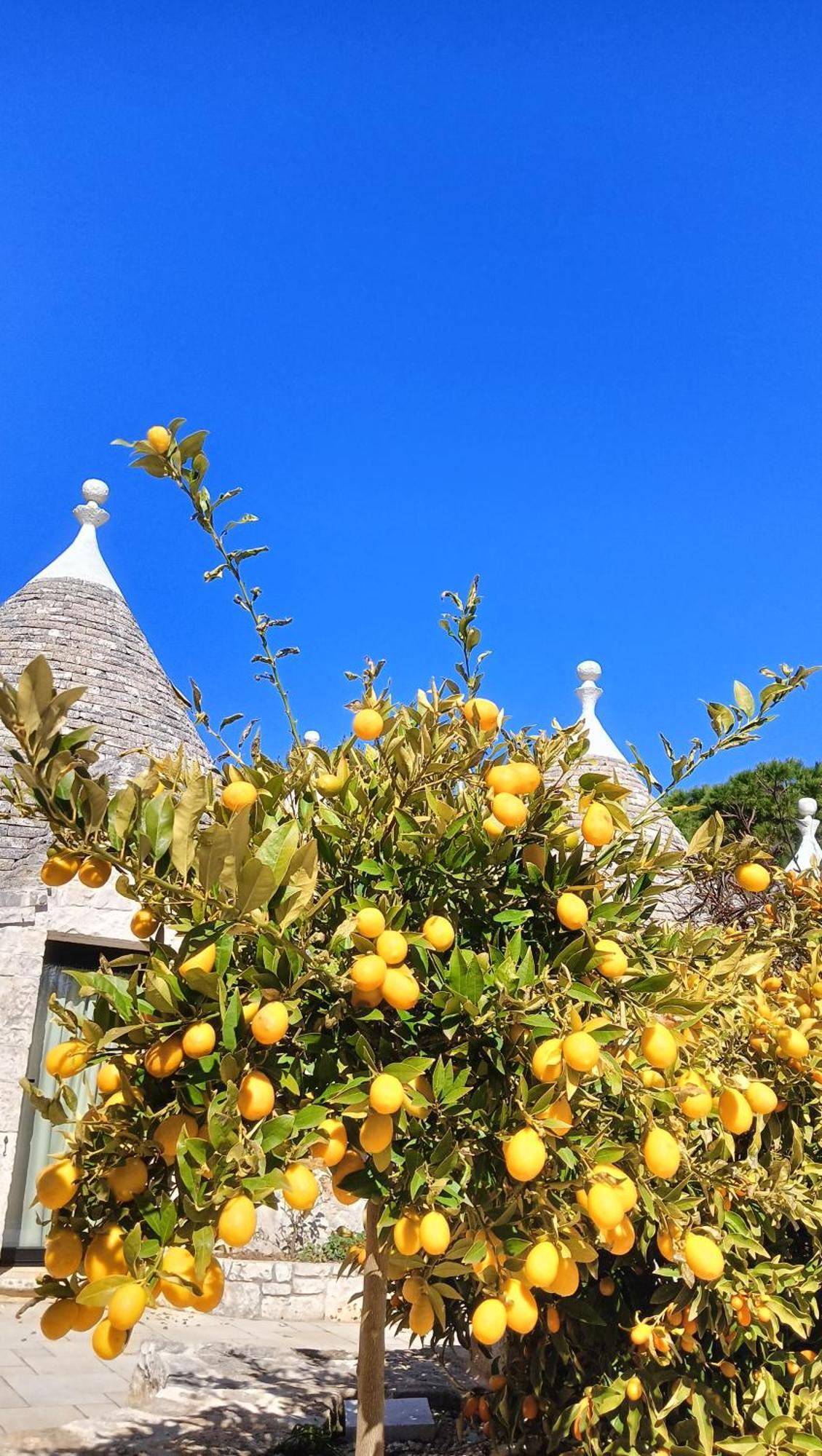 Trullo Bosco Libero Ostuni Exterior foto