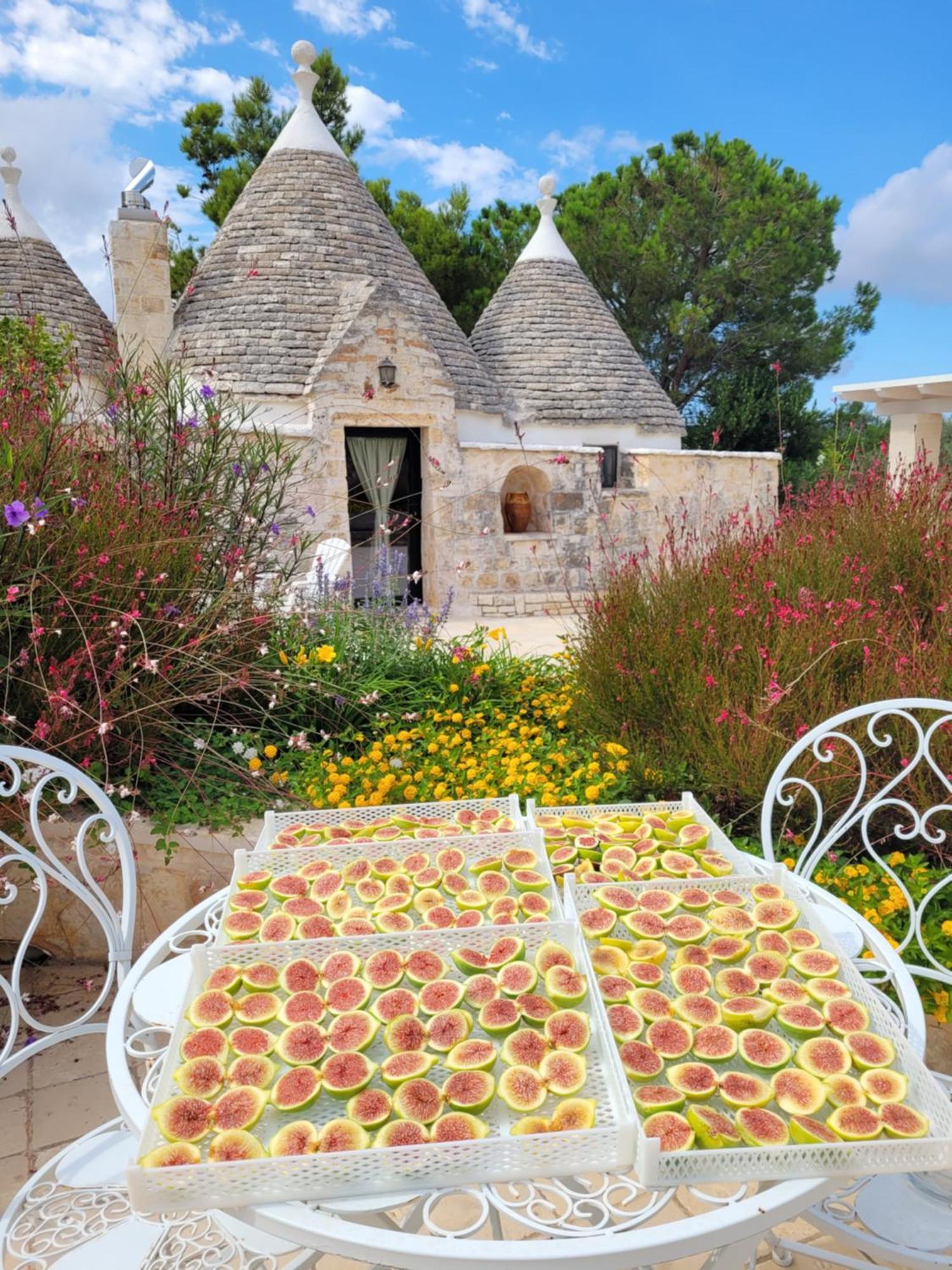 Trullo Bosco Libero Ostuni Exterior foto